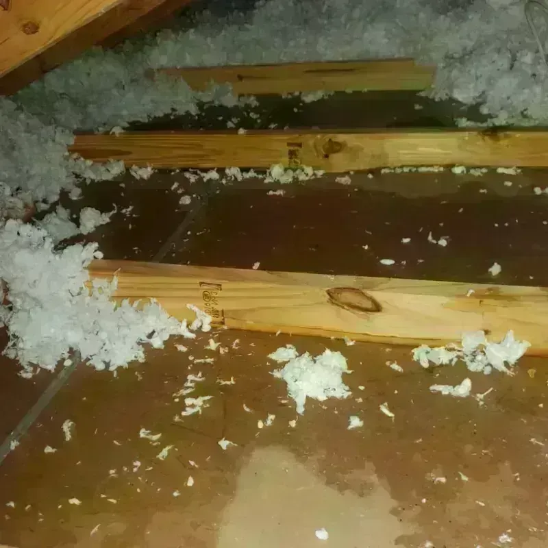 Attic Water Damage in Purvis, MS