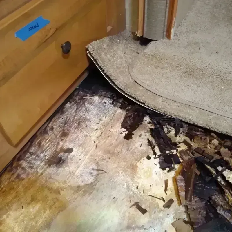 Wood Floor Water Damage in Purvis, MS